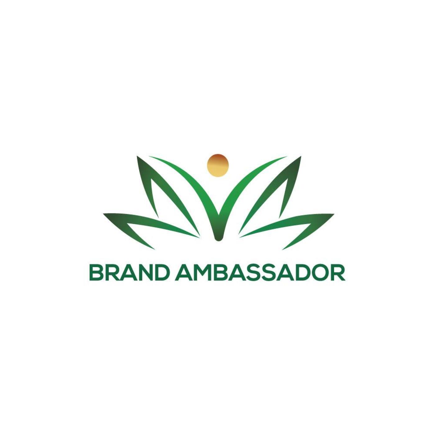 Brand Ambassador "HLO STARTER PACK"